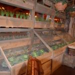 2019_OTRA_0970 (September 02, 2019)